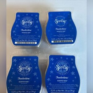 Scentsy Thunderstorm wax bars (4 bars)
